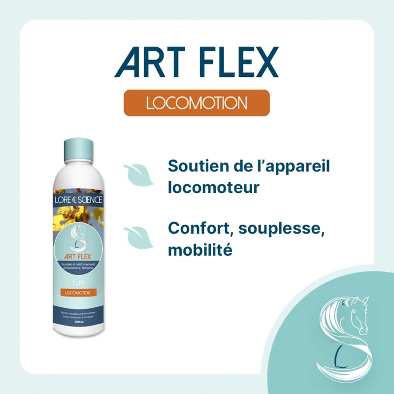 Art Flex - Horse cartilage and tendons - Lore & Science